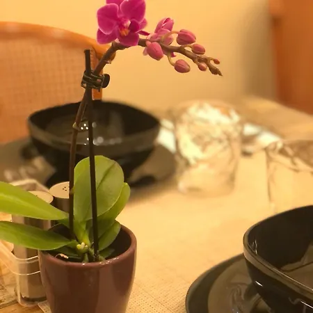 Serenity Couette-café Brescia