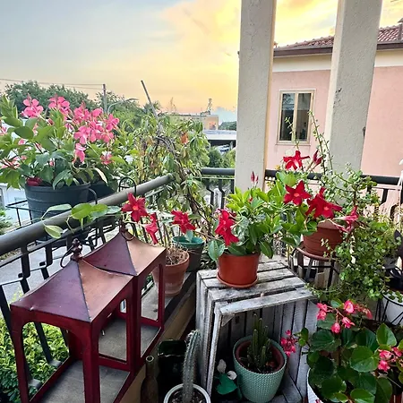 Serenity Brescia