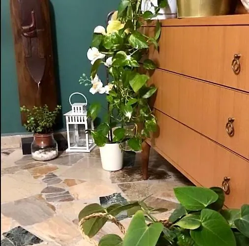 Serenity فندق مبيت وإفطار بريشا