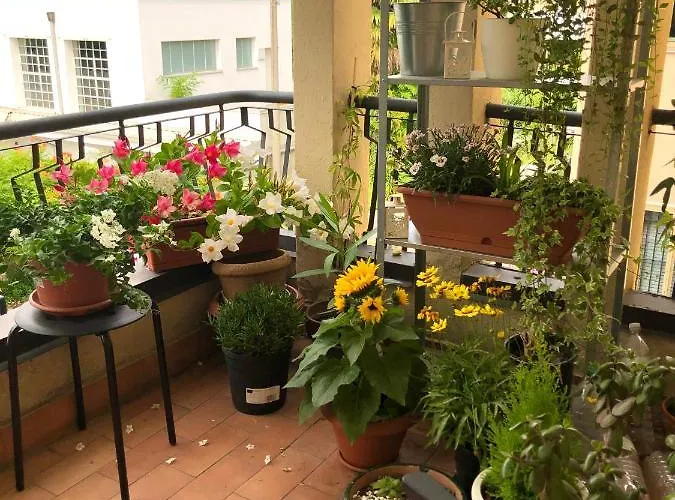 Serenity Bed and Breakfast 4*