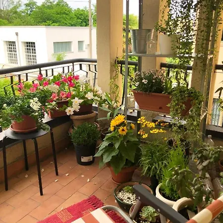 Serenity Bed & Breakfast 4*